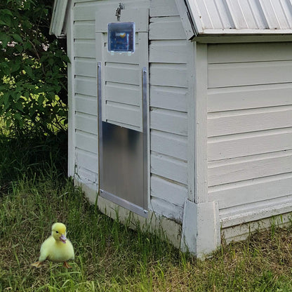 Automatic Chicken Coop Door - Electronic Automated Opener Panel for Chickens, Sliding Door with Light Sensor