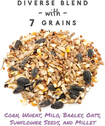 7-Grain Ultimate Scratch, Purple Corn Chicken Feed, 10 Lbs