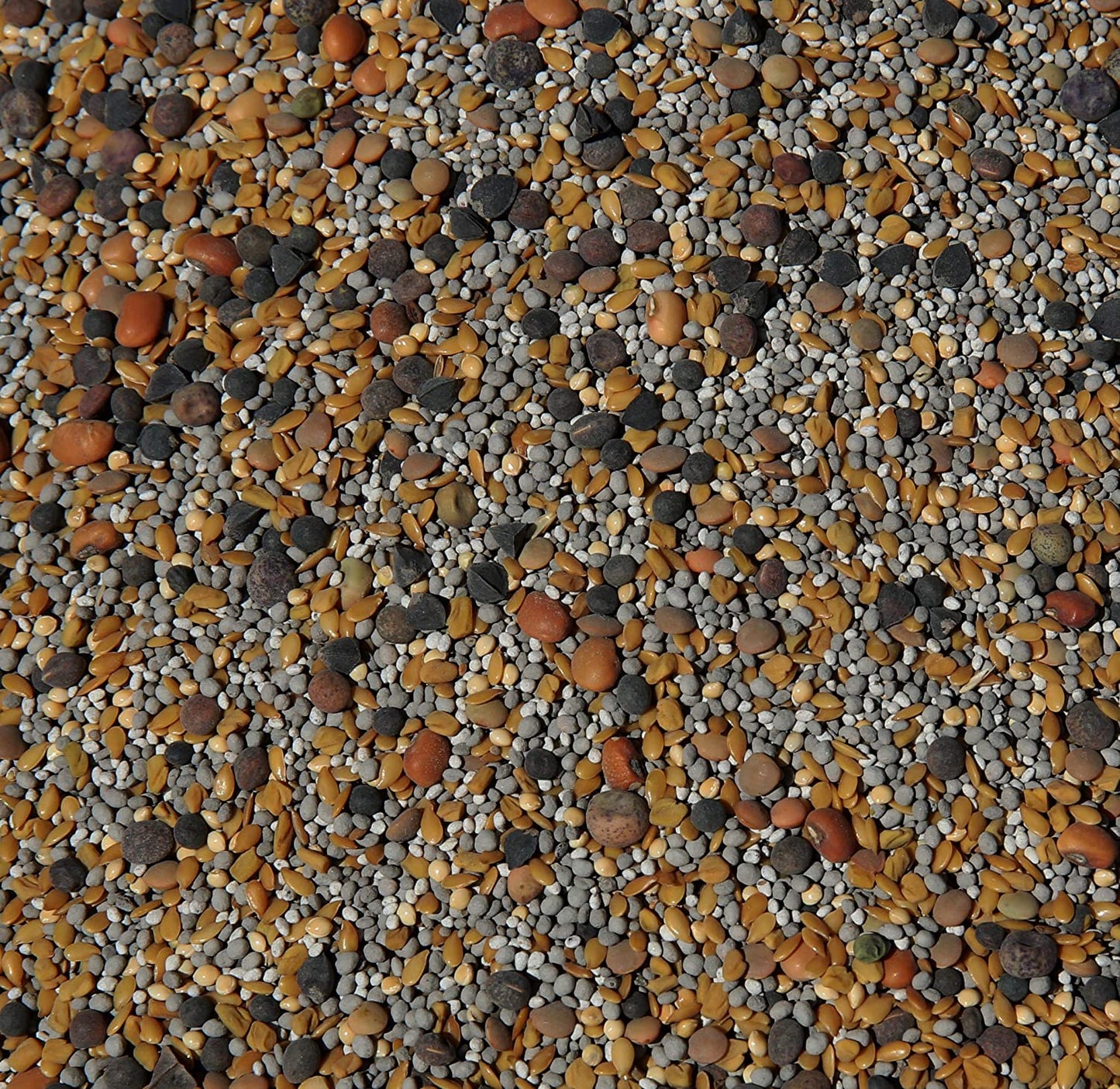 No-Till Cover Crop 13-Seed Mix (½-Lb): [50% Clovers plus Fenugreek, Vetch, Flax, Cowpeas, Buckwheat, Forage Peas, Millet, Lentils, Crimson Clover, Sweet Yellow Clover, White Clover, Medium Red Clover]