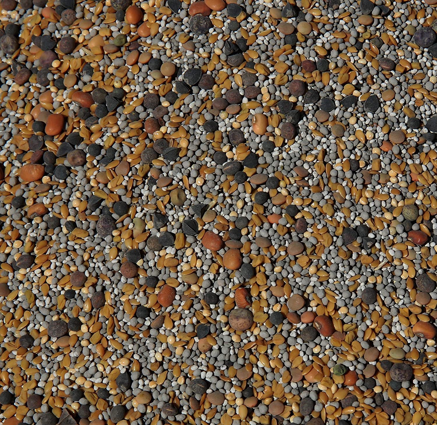 No-Till Cover Crop 13-Seed Mix (½-Lb): [50% Clovers plus Fenugreek, Vetch, Flax, Cowpeas, Buckwheat, Forage Peas, Millet, Lentils, Crimson Clover, Sweet Yellow Clover, White Clover, Medium Red Clover]