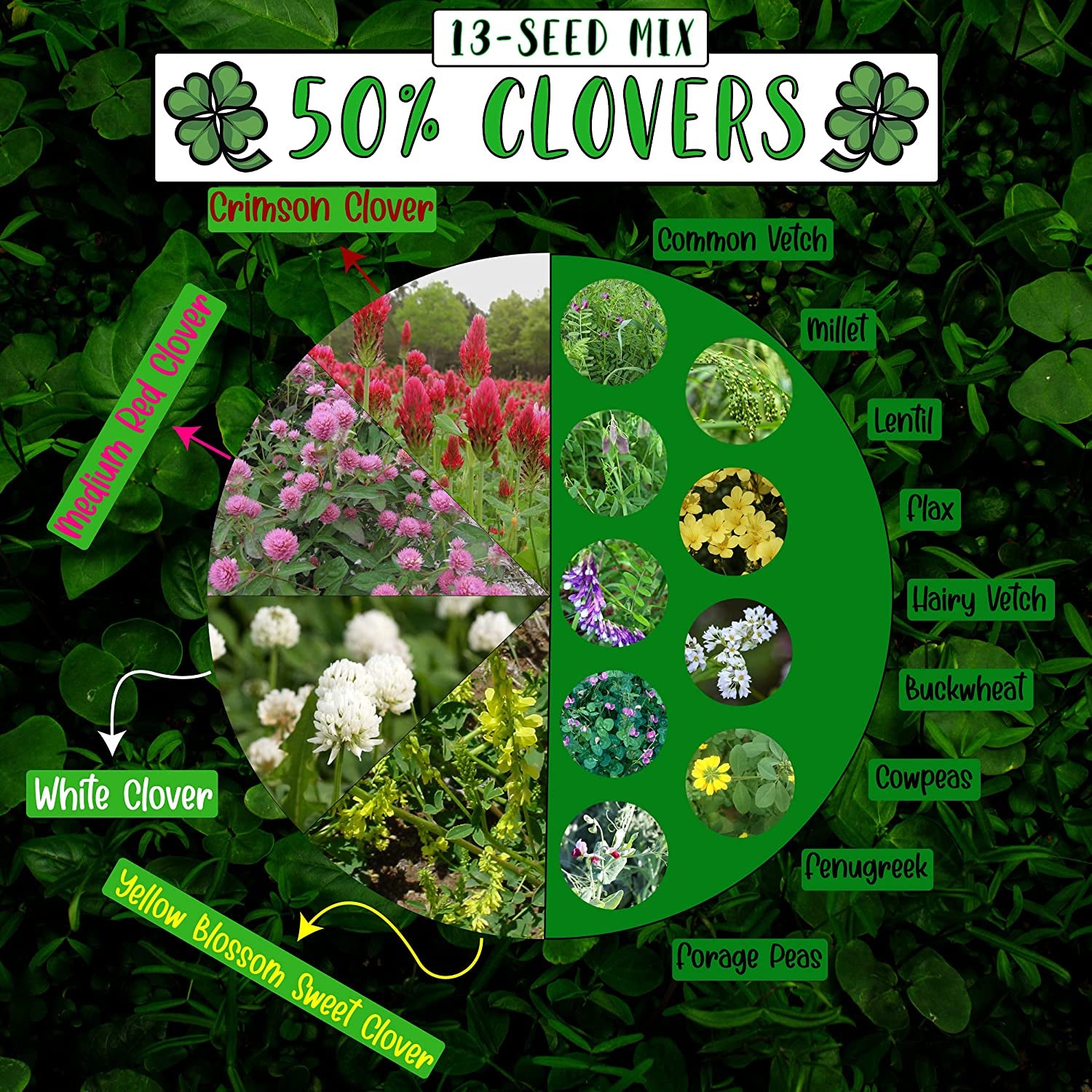 No-Till Cover Crop 13-Seed Mix (½-Lb): [50% Clovers plus Fenugreek, Vetch, Flax, Cowpeas, Buckwheat, Forage Peas, Millet, Lentils, Crimson Clover, Sweet Yellow Clover, White Clover, Medium Red Clover]